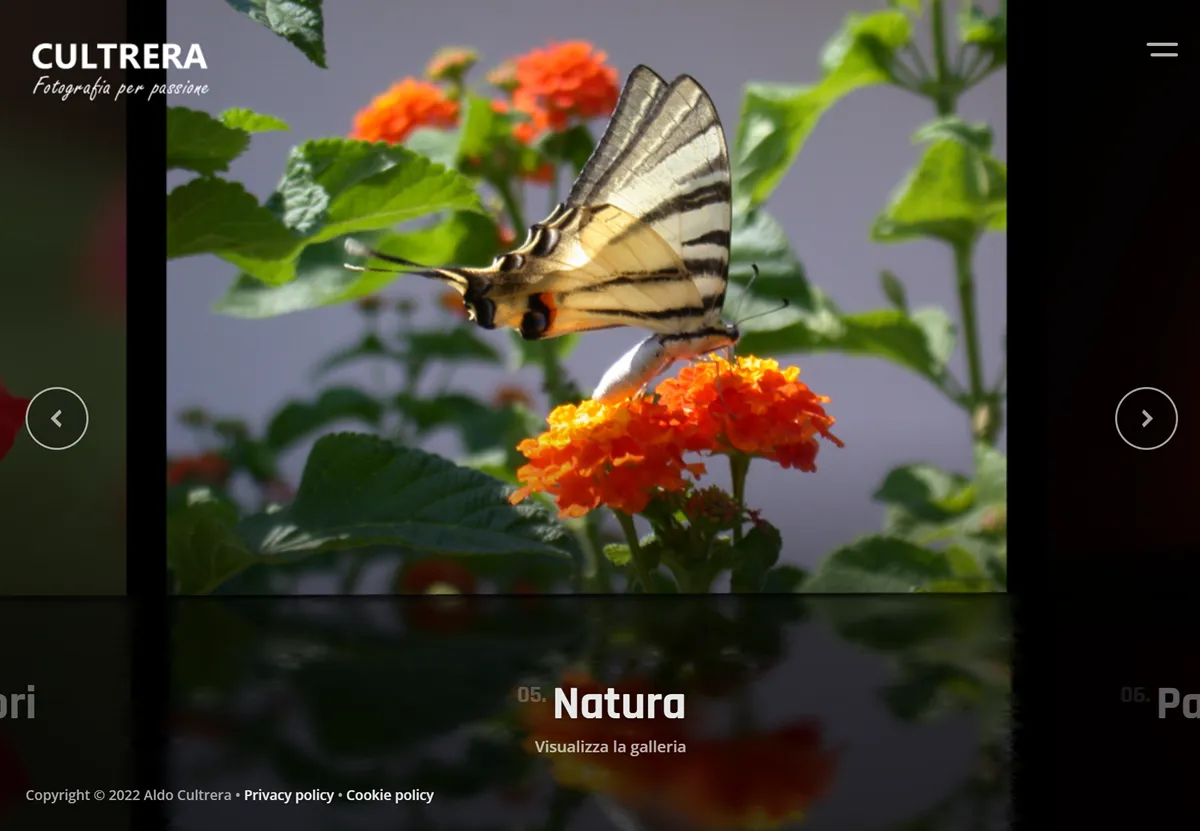 Home page